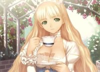 BUY NEW shining wind - 145439 Premium Anime Print Poster